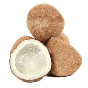 buy-dry-coconut-online